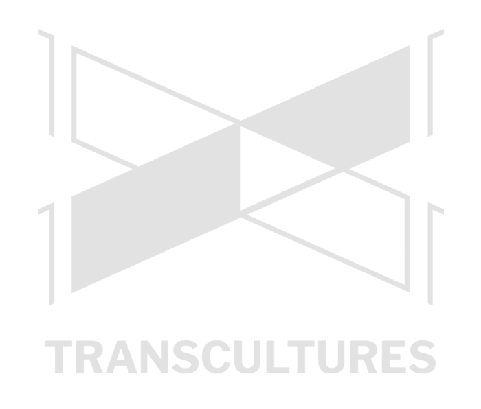 Transcultures logo 2019 WhiteGrey Alpha 1000px 300dpi